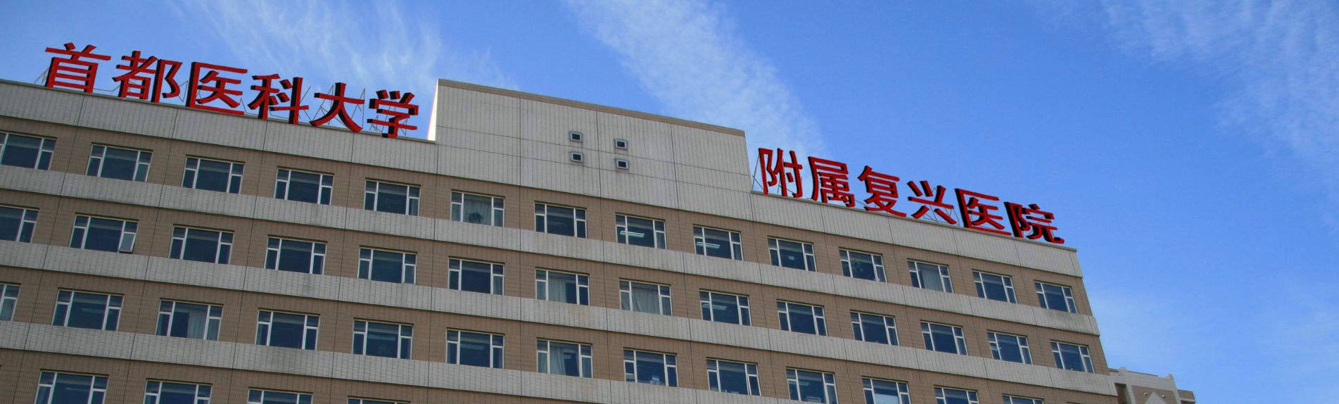 中日友好临床医安博(中国)副院长（主
